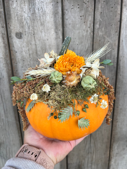 Pumpkin Decorating at Bremer Brewing Co