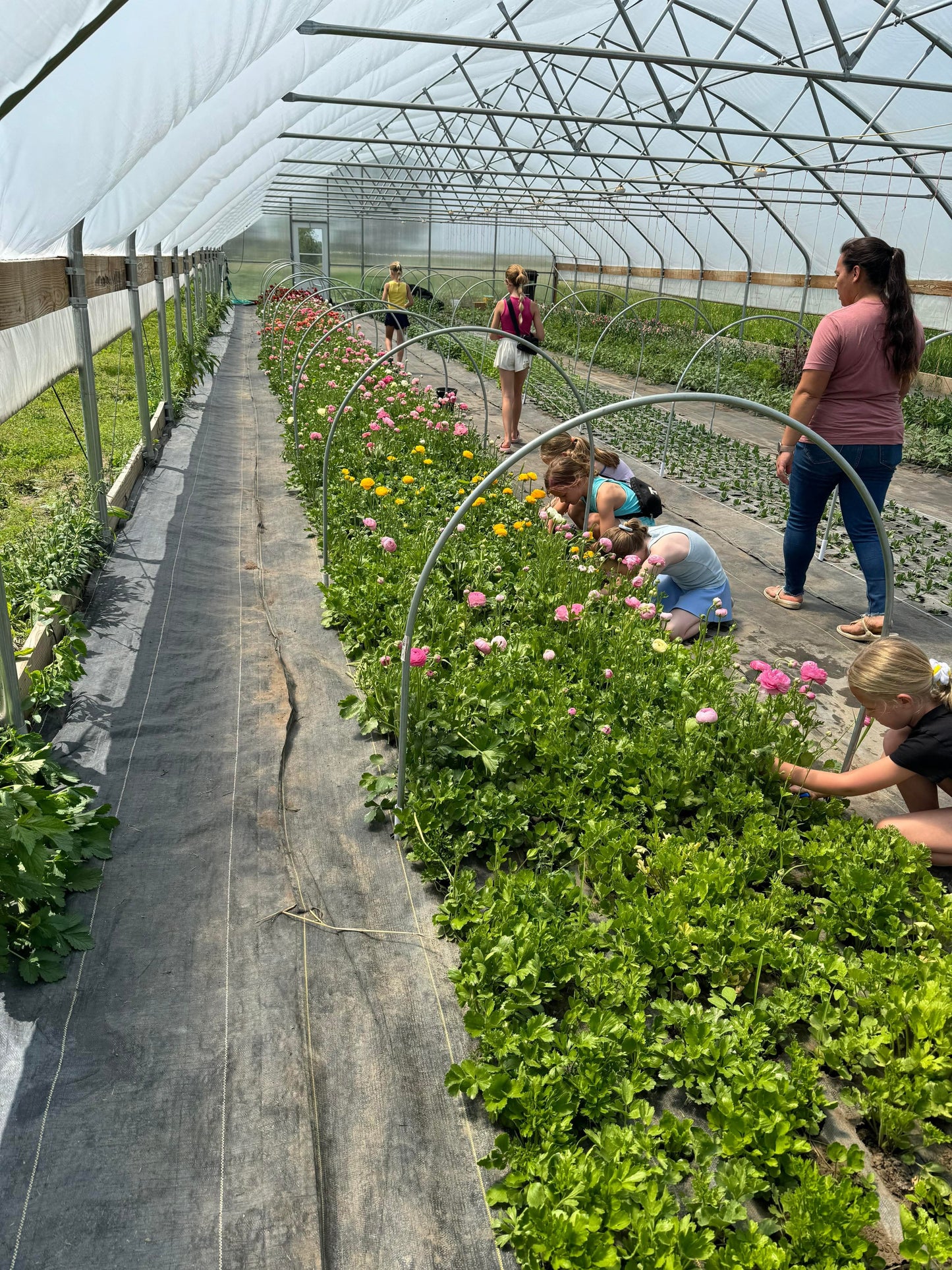 Kid’s Birthday Party