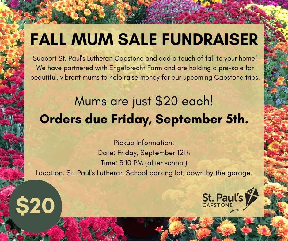 St. Paul School Mum Fundraiser