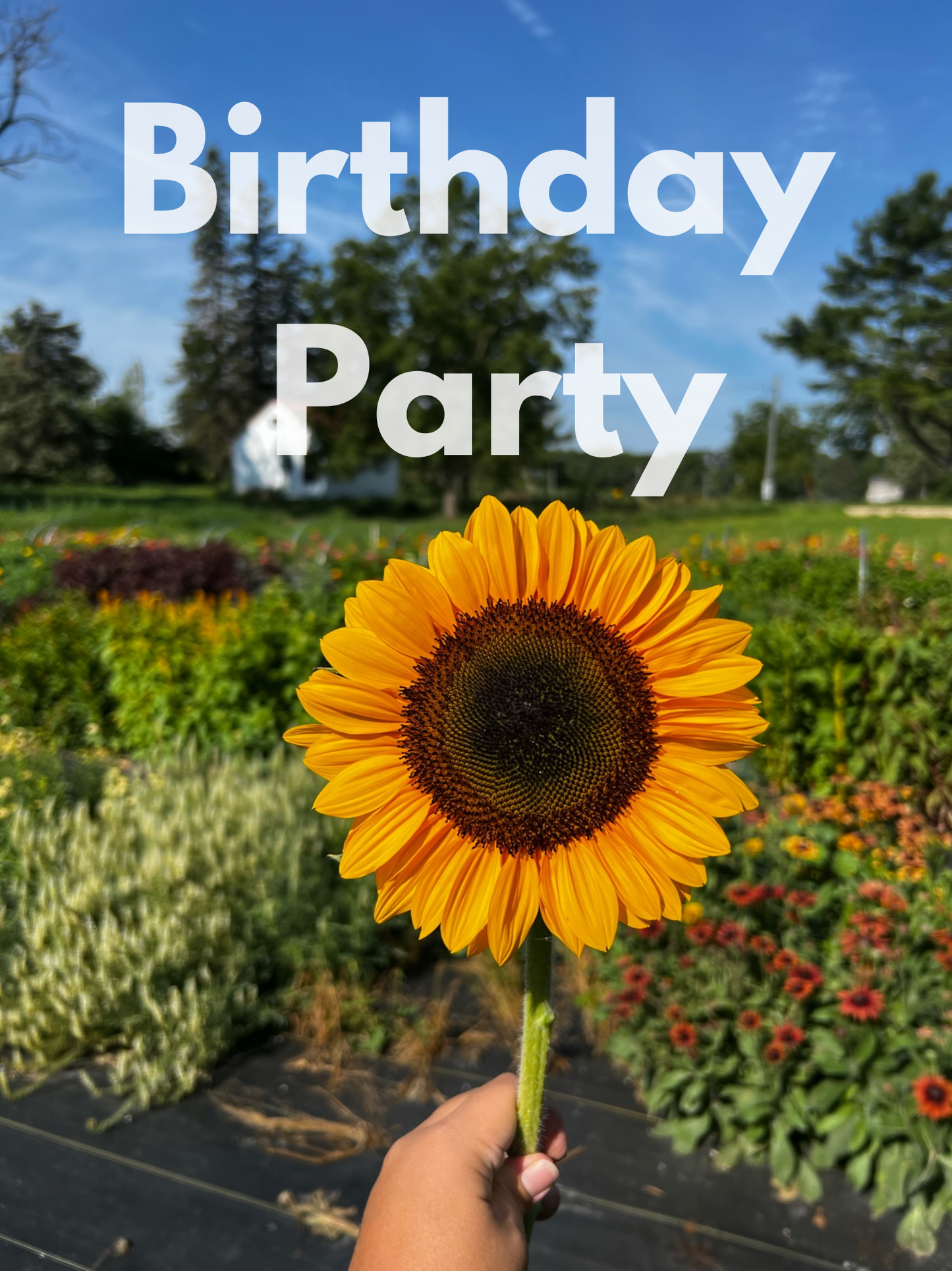 Kid’s Birthday Party